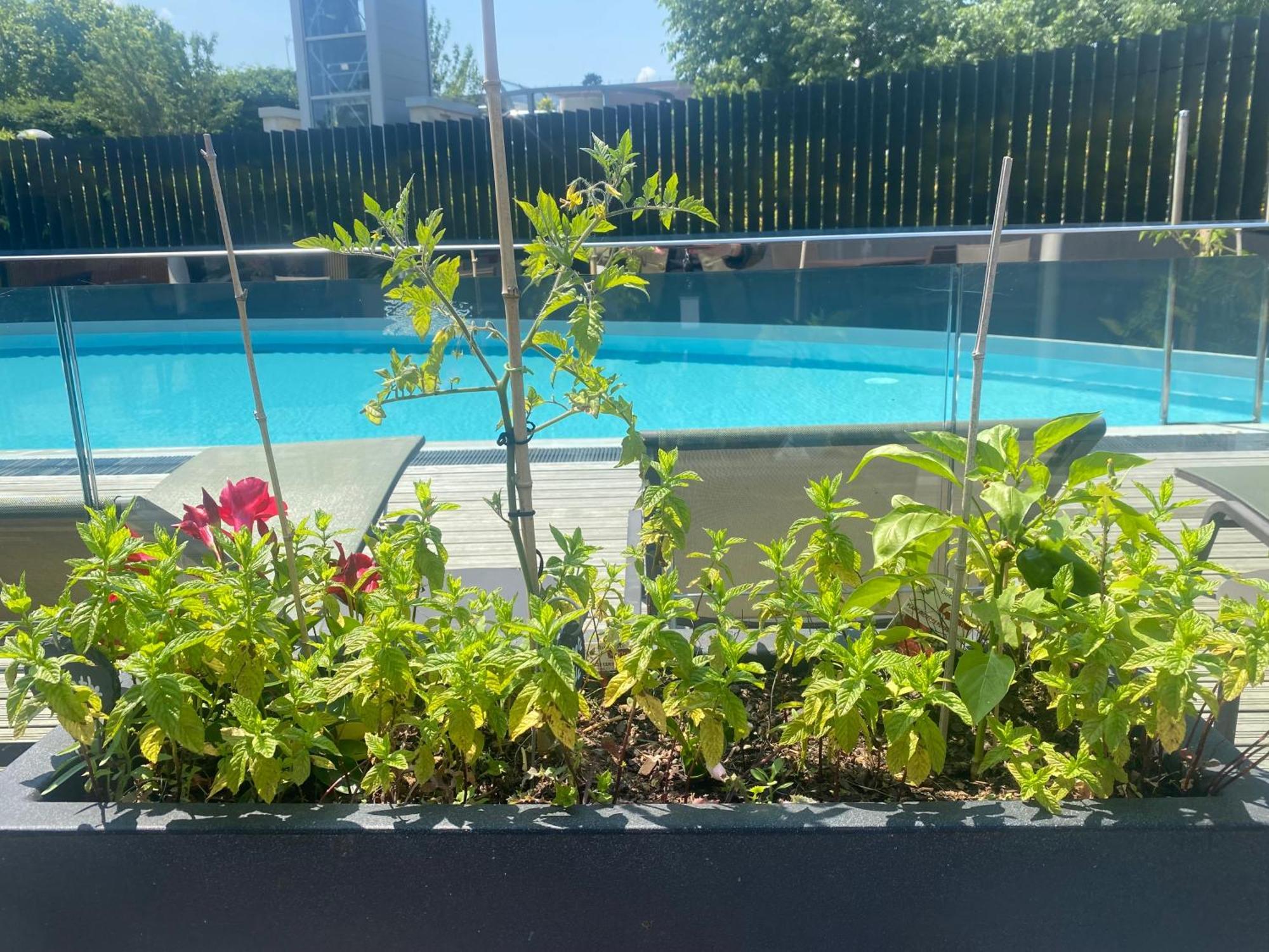Radisson Blu Hotel, Montpellier Zewnętrze zdjęcie